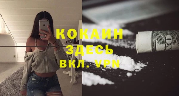 PSILOCYBIN Верея