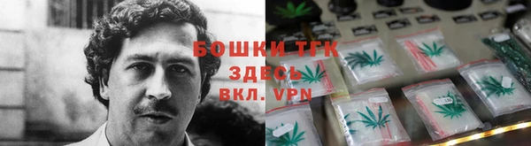 PSILOCYBIN Верея