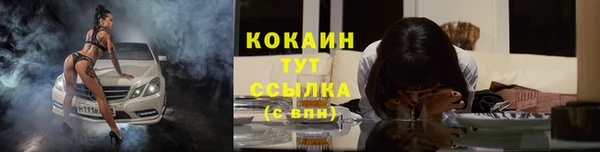 PSILOCYBIN Верея