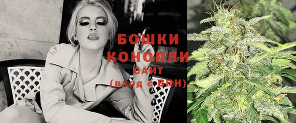 PSILOCYBIN Верея