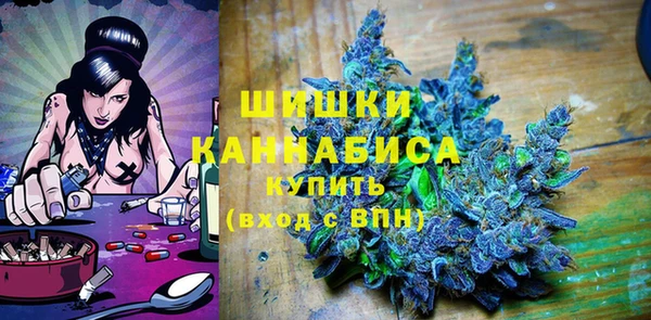 PSILOCYBIN Верея