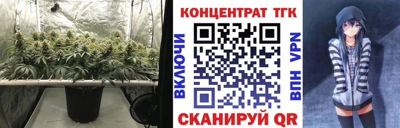 Дистиллят ТГК гашишное масло Баксан