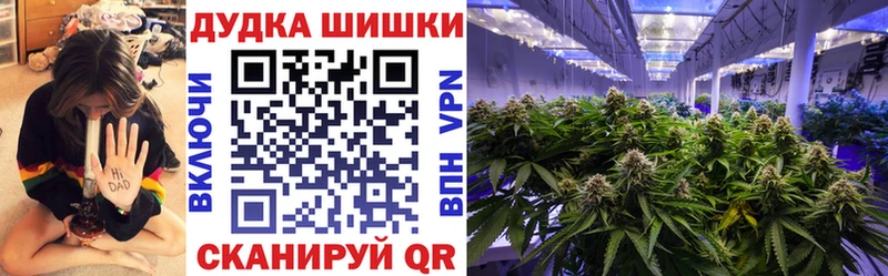 Купить  Баксан  Конопля марихуана 